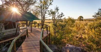 Machaba Zimbabwe Deteema Room Boardwalk Leading To Tent