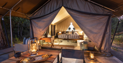 Machaba Safaris Web Botswana Machaba Camp Rooms Gallery Tent Exterior