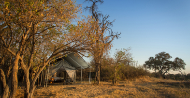 Machaba Safaris Web Botswana Machaba Camp Rooms Gallery Exterior