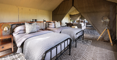 Machaba Web Botswana Little Machaba Family Room Tent Twin Beds Machaba Web Botswana Little Machaba Family Room Tent Twin Beds