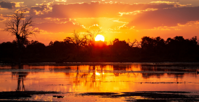 Machaba Machaba Experience Safari Mvr 058