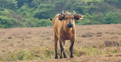 Experiences Carousel Image 7