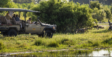 Machaba Botswana Okavango Delta Little Machaba Gallery Experiences Wildlife Game Drive