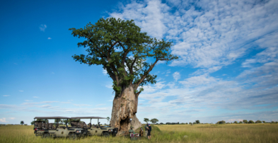 Machaba Safaris Web Kiri Camp Gallery Activities Safari Stop