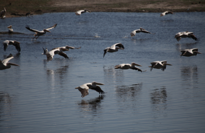 IMG 6902 IMG 6902
