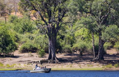 Machaba Safaris Web Botswana Chobe Inspiration Expore Different Terrains