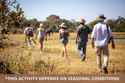 Mch Overview Walking