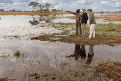 Machaba Web Experience Wildlife Walking Safari Flood Plains Machaba Web Experience Wildlife Walking Safari Flood Plains