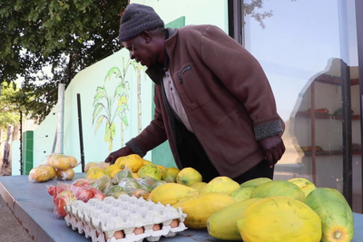 Machaba Web Conservation Progressive Tourism Local Produce Machaba Web Conservation Progressive Tourism Local Produce