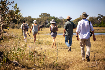 Walking Safari