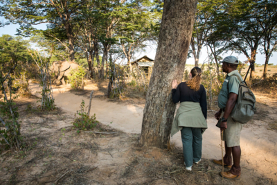 Machaba Zimbabwe Verneys Wildlife On Foot Machaba Zimbabwe Verneys Wildlife On Foot