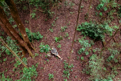 Machaba Wild Machaba Wild Activities Forest Immersion