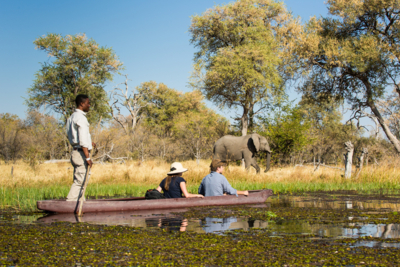 Machaba Web Experience Mokoro Guests Elephant River Bank Machaba Web Experience Mokoro Guests Elephant River Bank