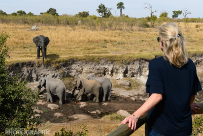 Machaba Web Zimbabwe Hwange Wildlife Elephants From Deck Machaba Web Zimbabwe Hwange Wildlife Elephants From Deck