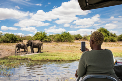 Machaba Web Activity Boating Safari Stop Machaba Web Activity Boating Safari Stop