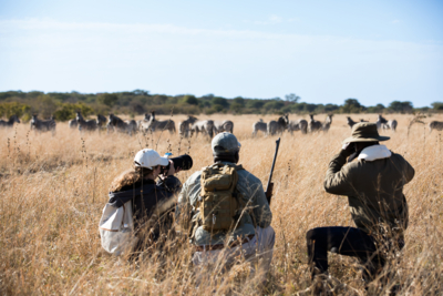 Machaba Zimbabwe Hwange Destination Verneys Walking Safari Machaba Zimbabwe Hwange Destination Verneys Walking Safari