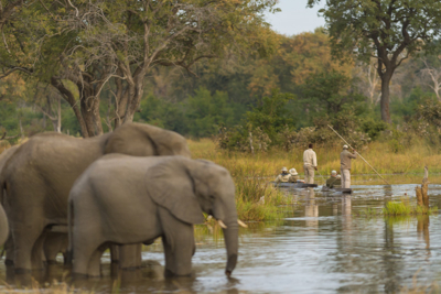 Mch Overview Monachira