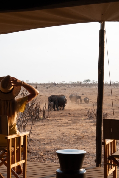 Machaba Wild Machaba Wild Connection Not Distraction