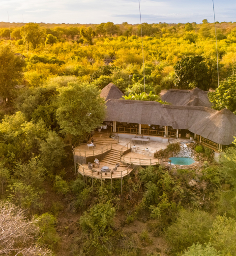 Machaba Safaris Web Ngoma Lodge Aerial Teak Forests Machaba Safaris Web Ngoma Lodge Aerial Teak Forests