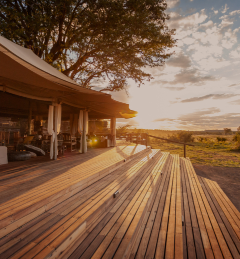 Machaba Deteema Accommodation Lodge Web