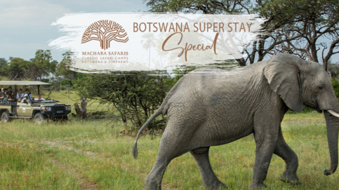 machaba-bostwana-super-stay-special-thumbnail.jpg