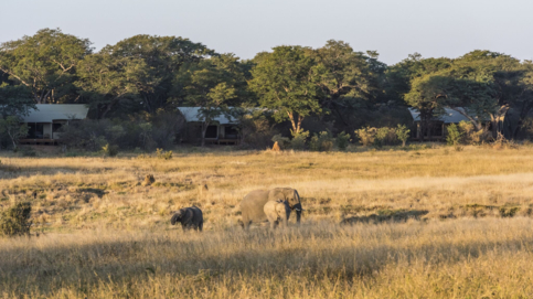 verneys-march-wildlife-banner.jpeg