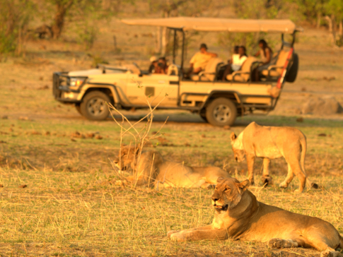 Zimbabwe Hwange National Park Deteema Game Drive Thumbnail Zimbabwe Hwange National Park Deteema Game Drive Thumbnail