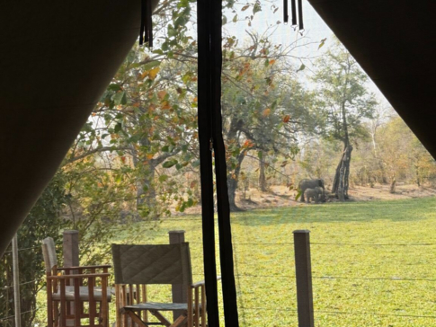 Machaba Ingwe Pan Review Tent View Machaba Ingwe Pan Review Tent View