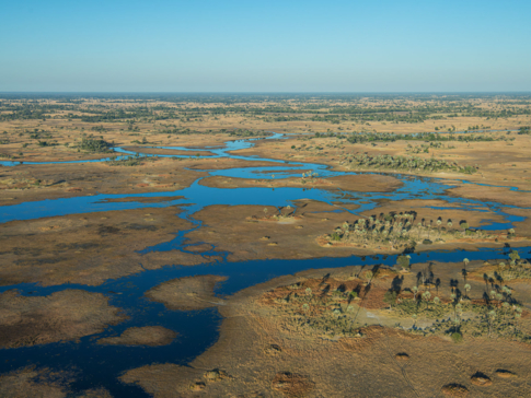 Mike Myers Monachira  June 2024 12
