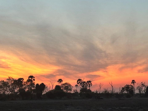 Willdife Sightings Gomoti Plains Botswana September 2024 Sunset