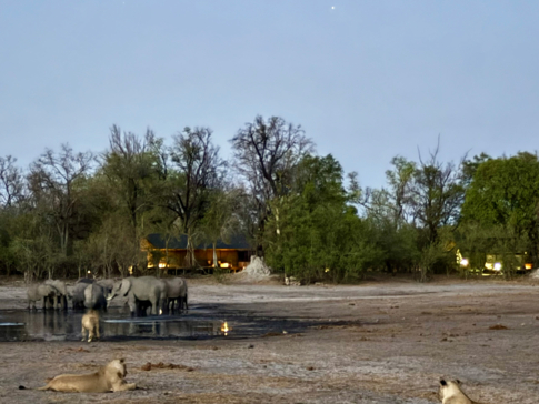 Machaba Kiri Camp October Sightings Waterhole Machaba Kiri Camp October Sightings Waterhole