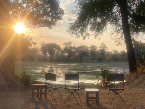 Zimbabwe   Mana Pools   Ingwe Pan   August Sightings 2021   Overlooking Pan