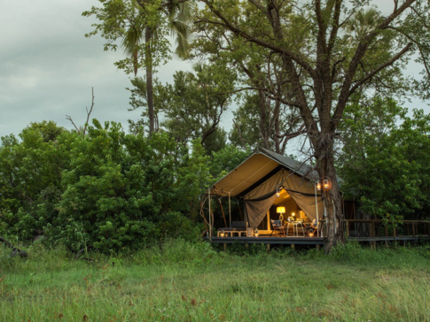 Machaba Botswana Zimbabwe Ultimate Safari Destination Tented Camps