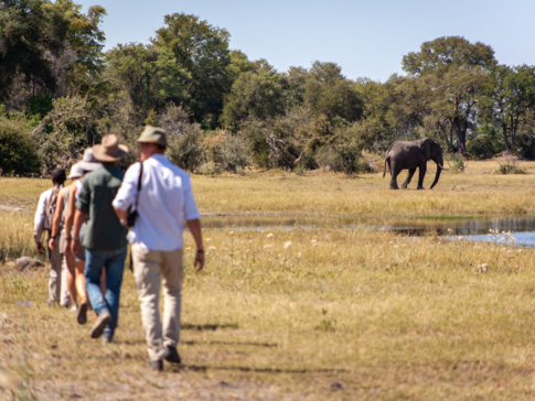 Machaba Botswana Zimbabwe Ultimate Safari Destination Walking Safari