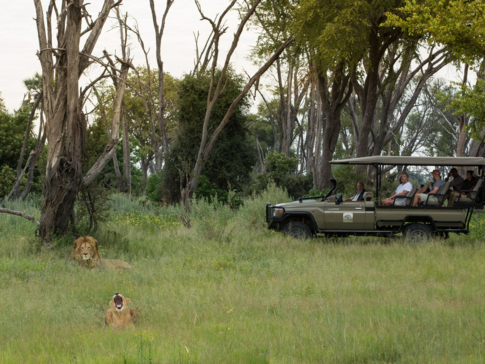 Botswana Kiri Camp Lion Safari Botswana Kiri Camp Lion Safari