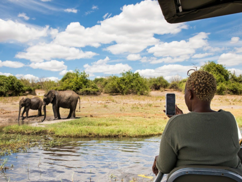 Machaba Chobe National Park Watching Elephants From Boat Machaba Chobe National Park Watching Elephants From Boat