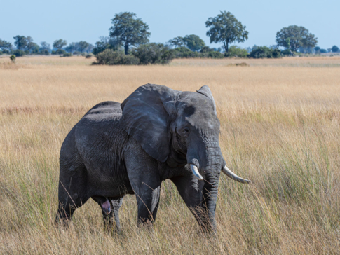 Mike Myers Monachira  June 2024 36