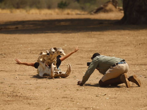 Willdife Sightings Mana River Camp Zimbabwe September 2024 Having Fun