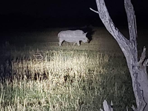 Machaba Safaris Botswana Okavango Delta Gomoti Plains August 2020 Gallery Image