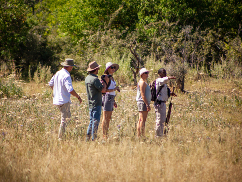 Machaba Web Packages Definitive Machaba Experience Walking Safari
