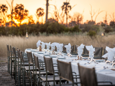 On Safari Nala Episode 11 Cookies Cta Dining Gallery