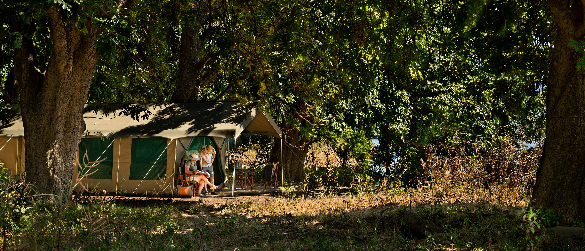 Machaba Web Zimbabwe Mana Pools Room Overview Machaba Web Zimbabwe Mana Pools Room Overview