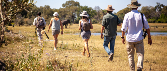 Walking Safari Walking Safari