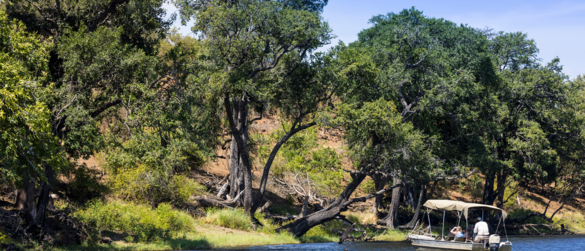 Machaba Destinations Chobe National Park