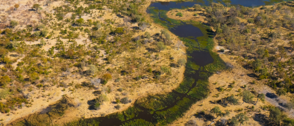 Okavango Opt 1
