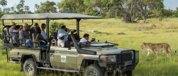 Game Drives Game Drives