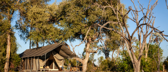 Machaba Gomoti Accommodation Tent Mvr 002 Machaba Gomoti Accommodation Tent Mvr 002