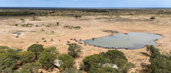 Machaba Zimbabwe Hwange Destination Elephants Wateringhole Machaba Zimbabwe Hwange Destination Elephants Wateringhole
