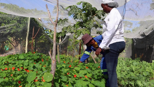 Web Machaba Projects Community Development Web Machaba Projects Community Development