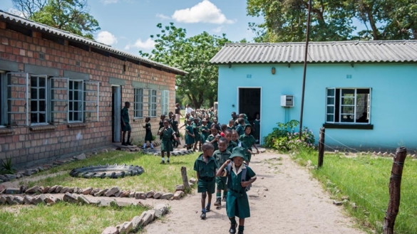 Zim Education Zim Education